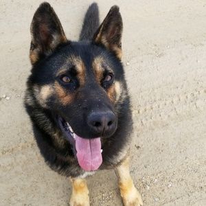 Meet your Posher, Renee